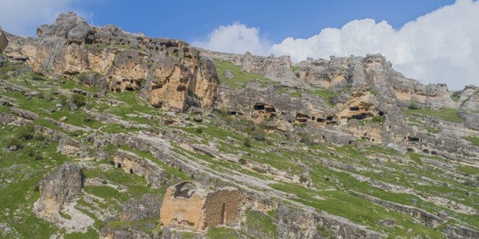 Silvan resimler