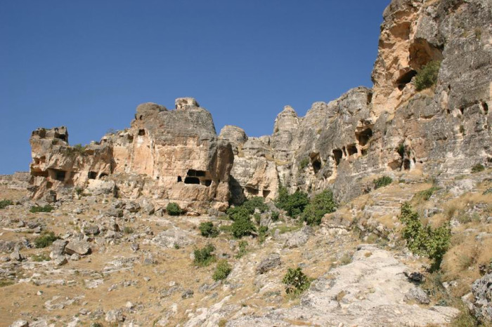 Silvan resimler
