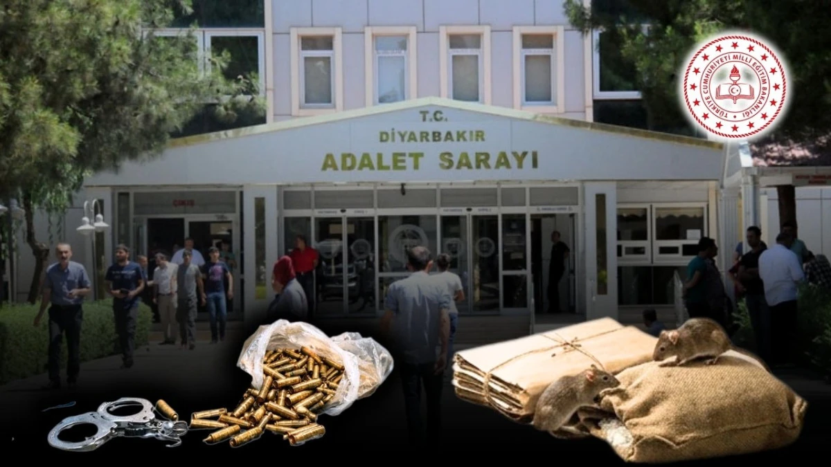 Bakanlık d&uuml;ğmeye bastı: Diyarbakır&rsquo;da silah ve mermi &ccedil;alınmıştı