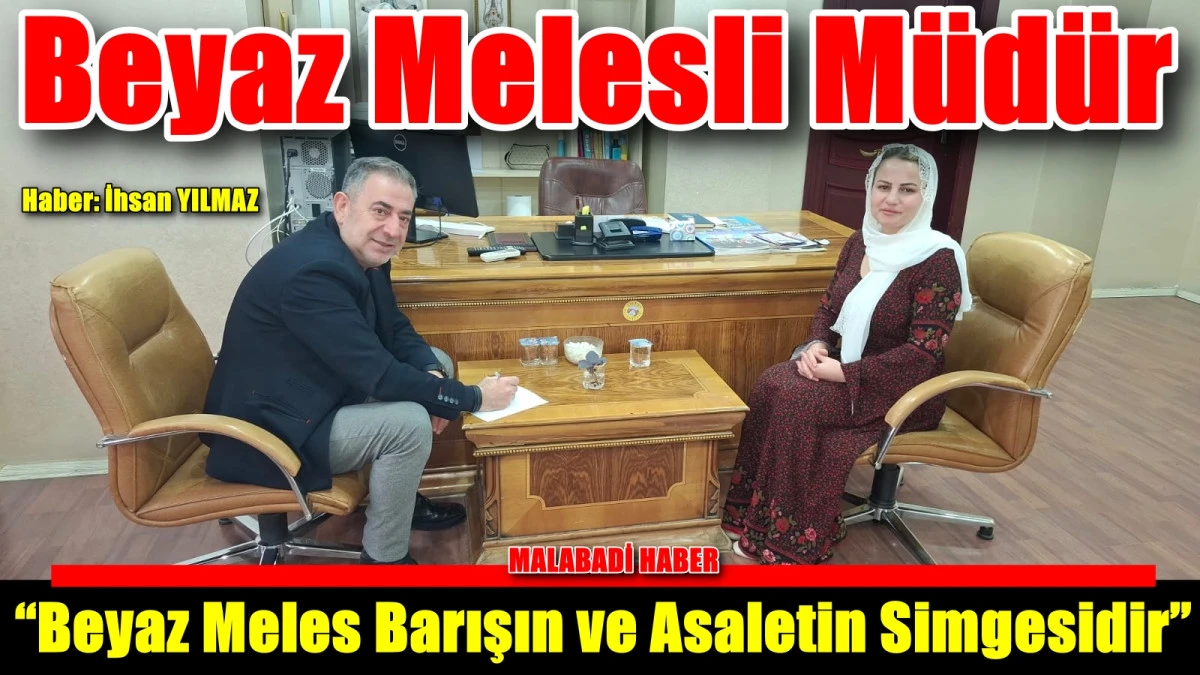 Beyaz Melesli Müdür