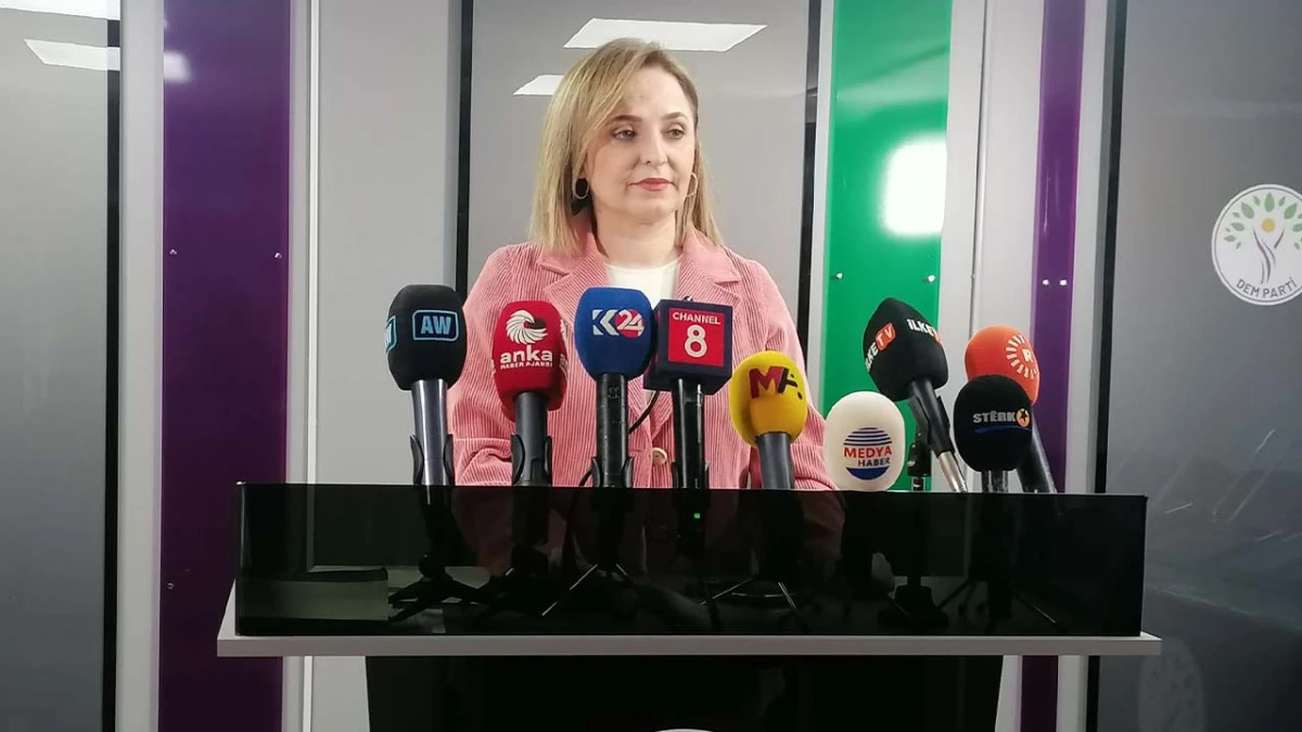 DEM Parti&rsquo;den rapor yorumu: &lsquo;K&uuml;rt&ccedil;e&rsquo; i&ccedil;in adım atma zamanı