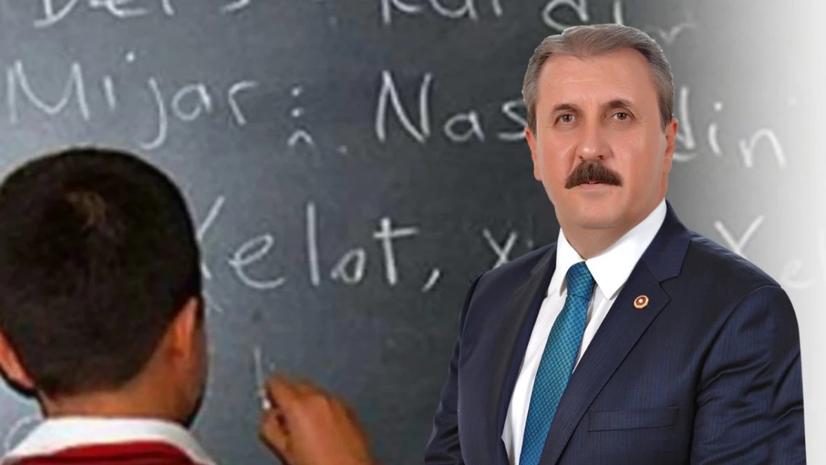 Destici’den ‘anadilde eğitim’ yorumu: Niyet iyi değil