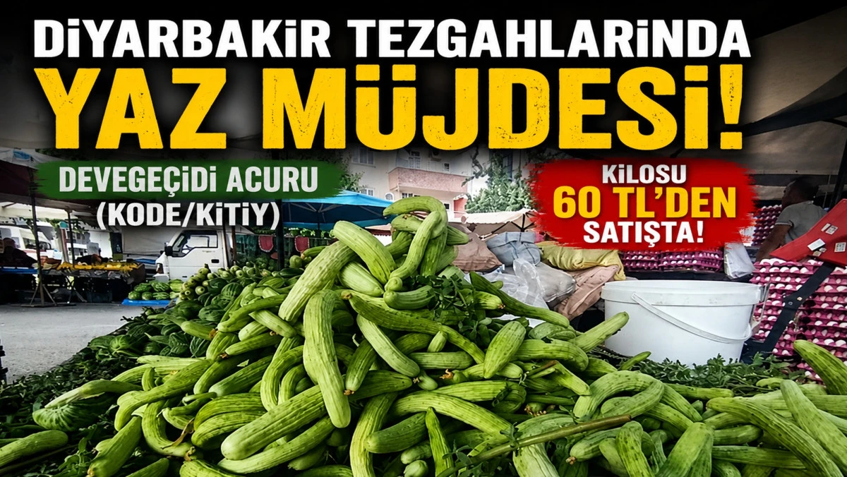 Devege&ccedil;idi Acuru Kilosu 60 TL&rsquo;den Satışta!