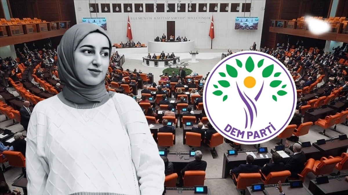 Diyarbakır vekilinden Rojin önergesi
