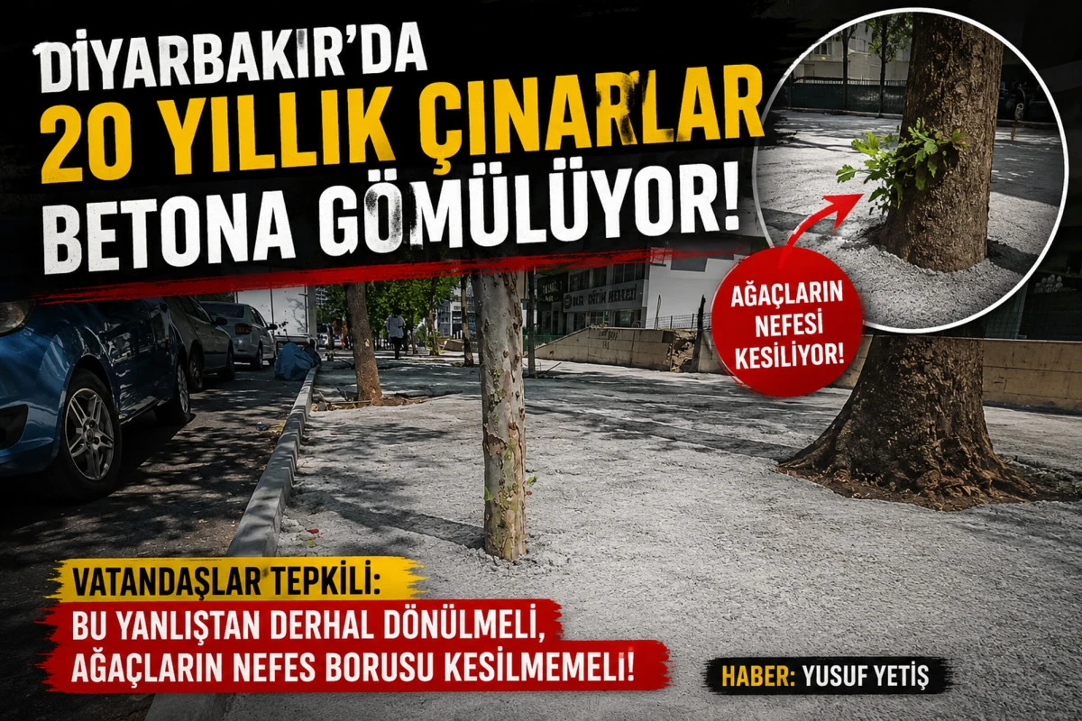 DİYARBAKIR&rsquo;DA "20 YILLIK &Ccedil;INARLAR BETONA G&Ouml;M&Uuml;L&Uuml;YOR!"