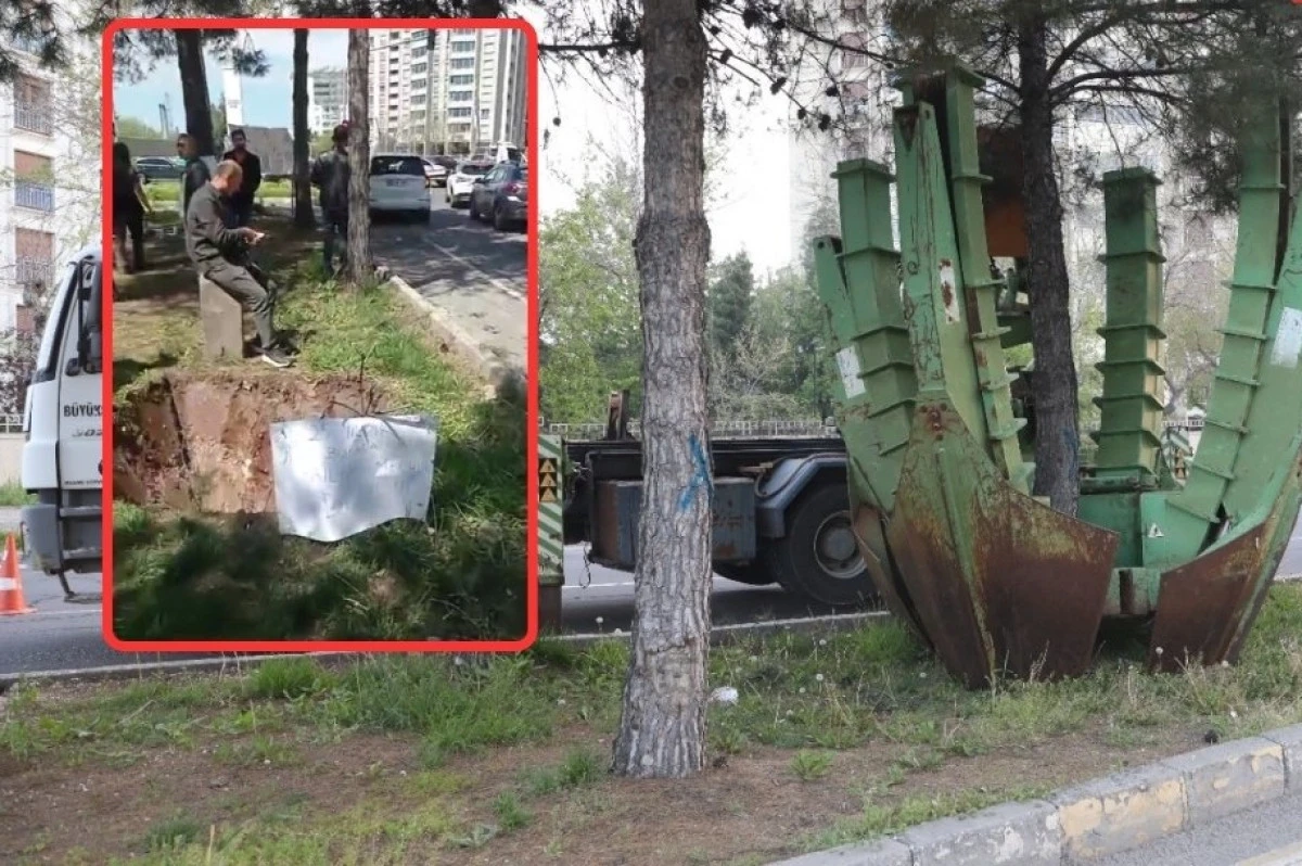 Diyarbakır&rsquo;da ağa&ccedil; protestosu: Belediyeden a&ccedil;ıklama