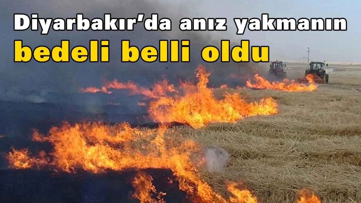 Diyarbakır&rsquo;da anız yakmanın bedeli belli oldu