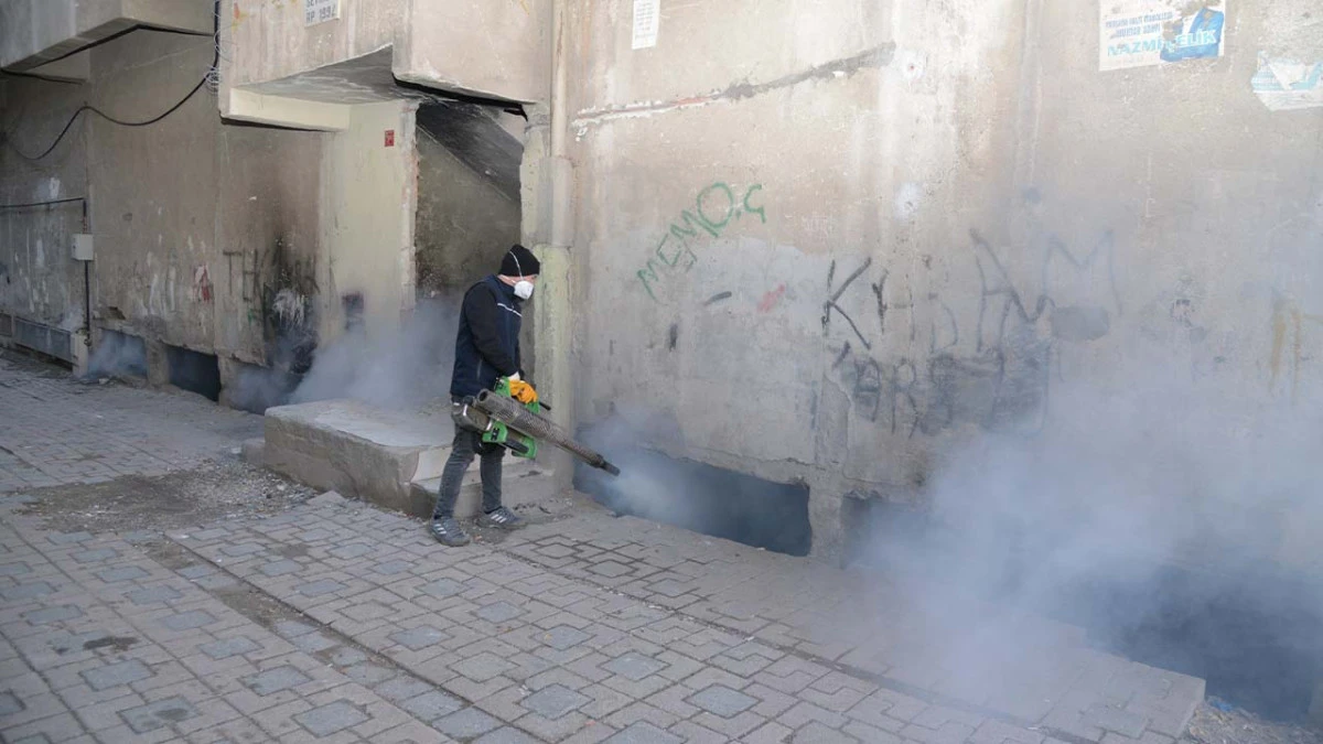 Diyarbakır’da haşerelere karşı kışlak ilaçlama başladı