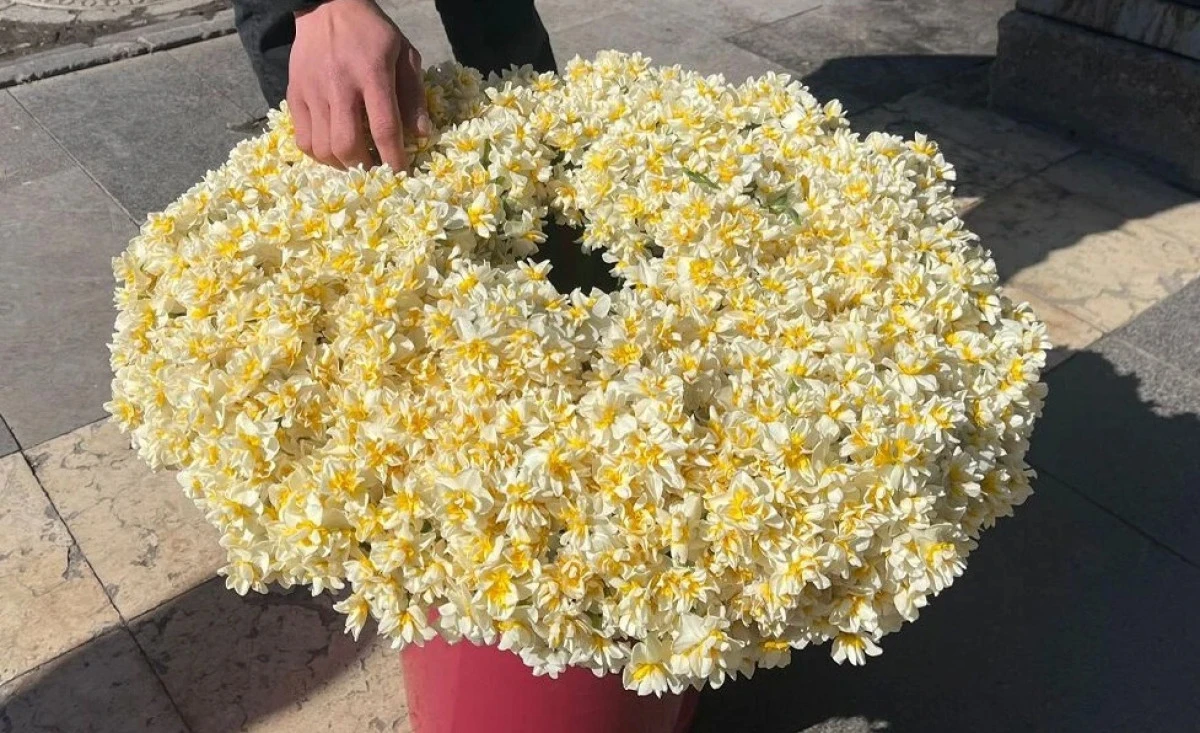 Diyarbakır&rsquo;da nergiz &ccedil;i&ccedil;ekleri g&ouml;r&uuml;c&uuml;ye &ccedil;ıktı