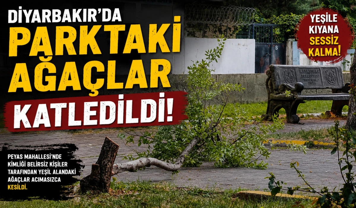 Diyarbakır&rsquo;da Parktaki Ağa&ccedil;lar Katledildi!
