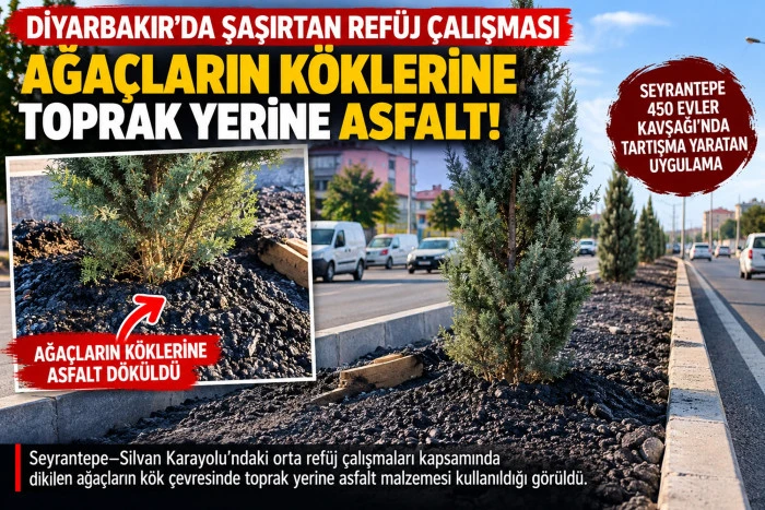 Diyarbakır&rsquo;da Şaşırtan Ref&uuml;j &Ccedil;alışması: Ağa&ccedil;ların K&ouml;klerine Toprak Yerine Asfalt Malzemesi!