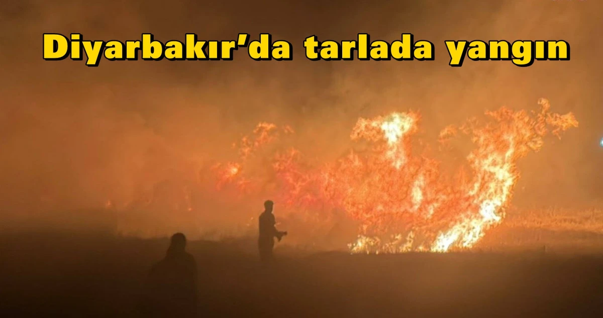 Diyarbakır&rsquo;da tarlada yangın