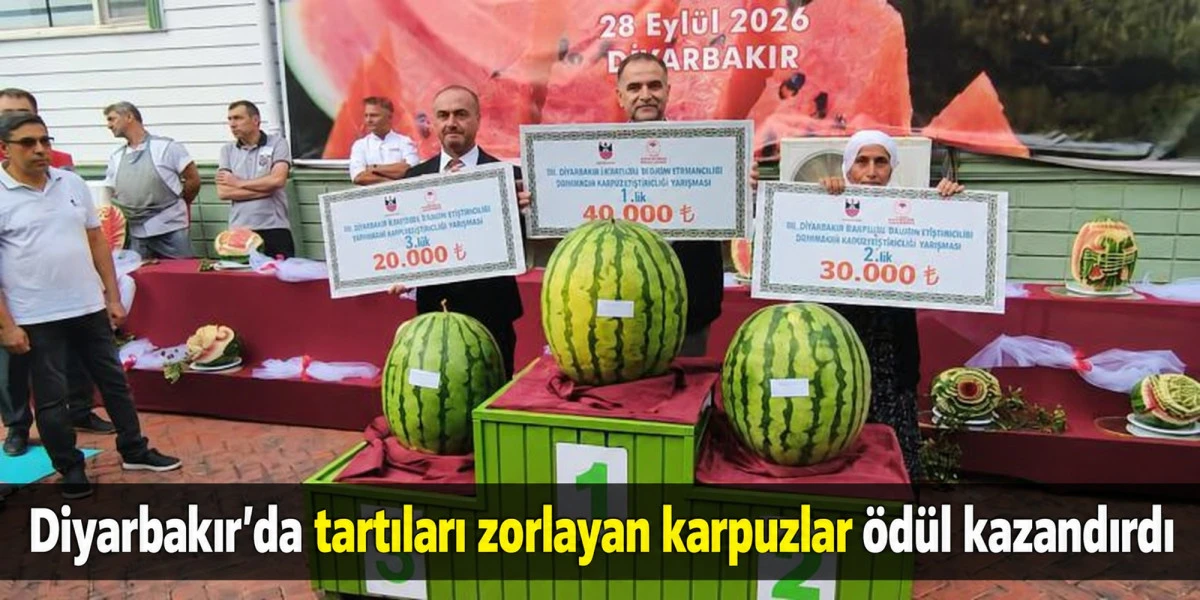 Diyarbakır'da tartıları zorlayan karpuzlar &ouml;d&uuml;l kazandırdı