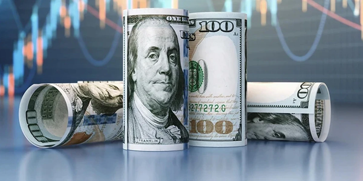 Dolar ve Euro g&uuml;ne y&uuml;kselişle başladı