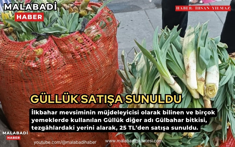 GÜLLÜK SATIŞA SUNULDU