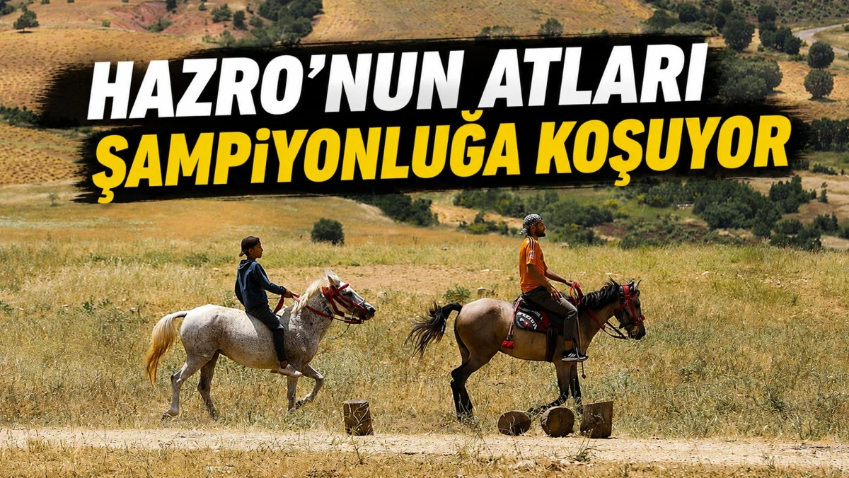 Hazro'nun atları şampiyonluğa koşuyor