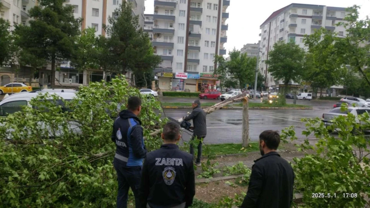 Kayapınar ve Silvan’da Ağaçlar Zarar Gördü