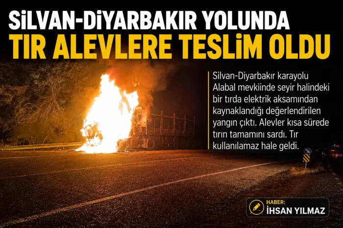 Seyir halindeki TIR alev alev yandı; o anlar kamerada