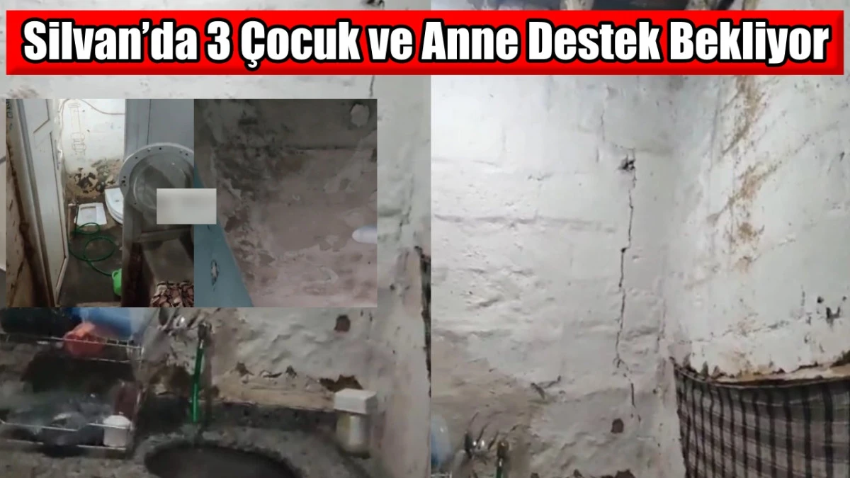 Silvan’da 3 Çocuk ve Anne Destek Bekliyor