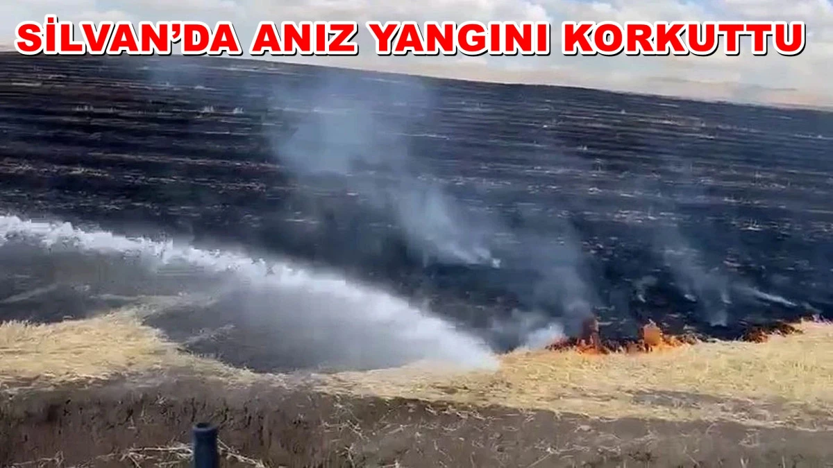 SİLVAN’DA ANIZ YANGINI KORKUTTU