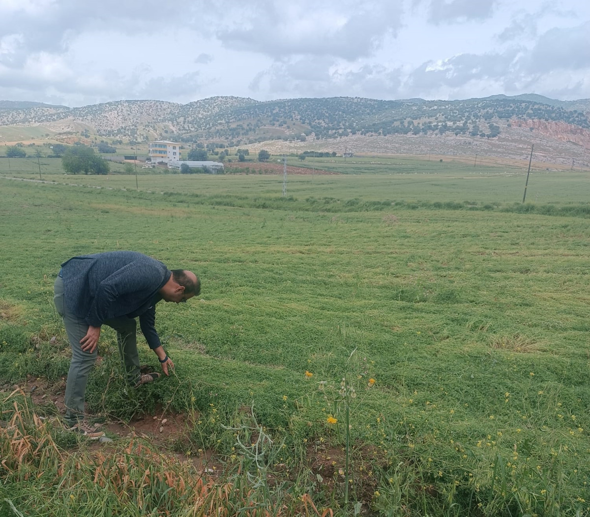 Silvan'da dolu bir kez daha vurdu: Çiftçiler perişan!