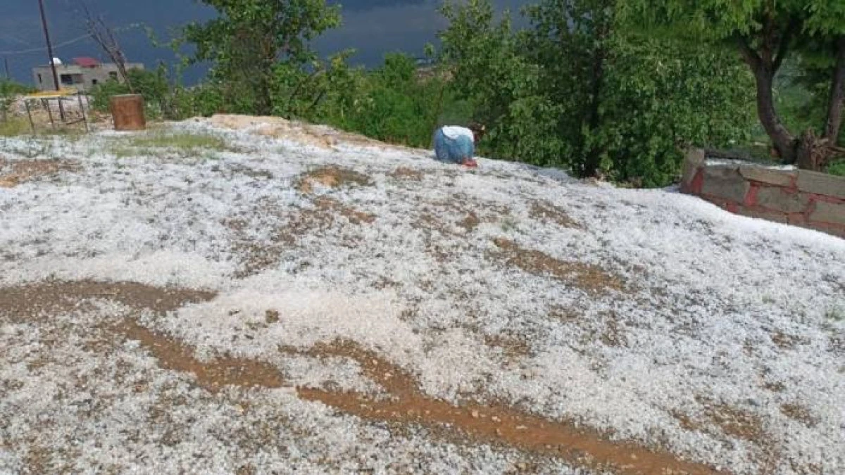 Silvan&rsquo;da Dolu Yağışı Bağ ve Bah&ccedil;eleri Vurdu