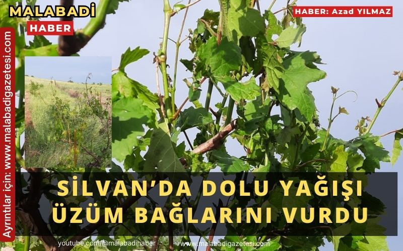 Silvan’da dolu yağışı üzüm bağlarını vurdu