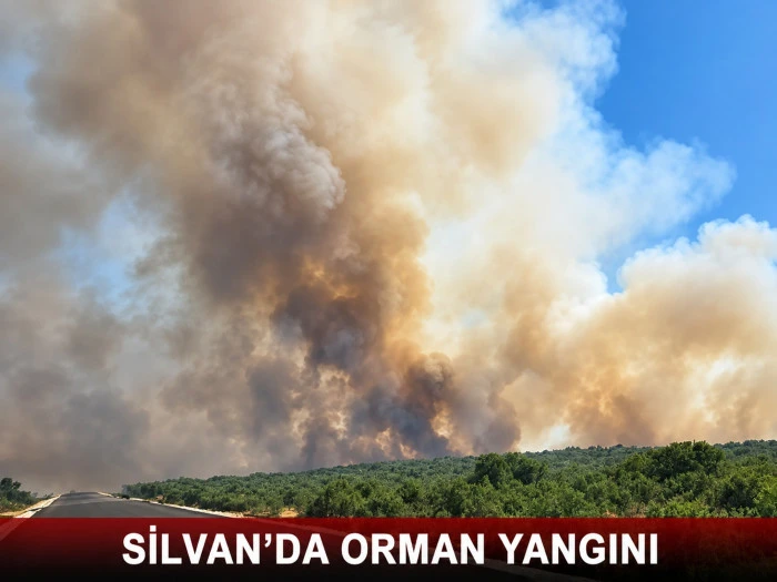 SİLVAN&rsquo;DA ORMAN YANGINI