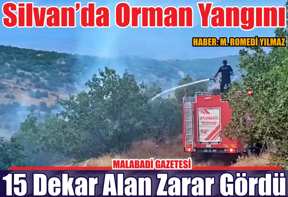 Silvan’da Orman Yangını: 15 Dekar Alan Zarar Gördü