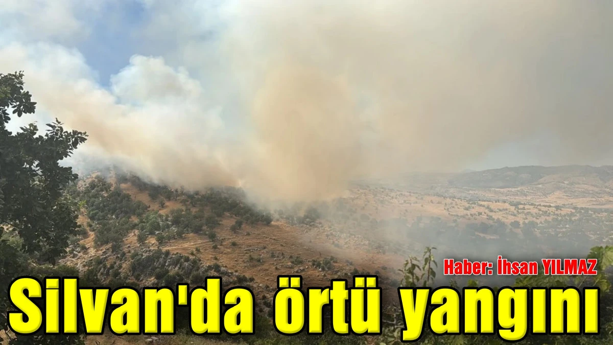 Silvan'da &ouml;rt&uuml; yangını