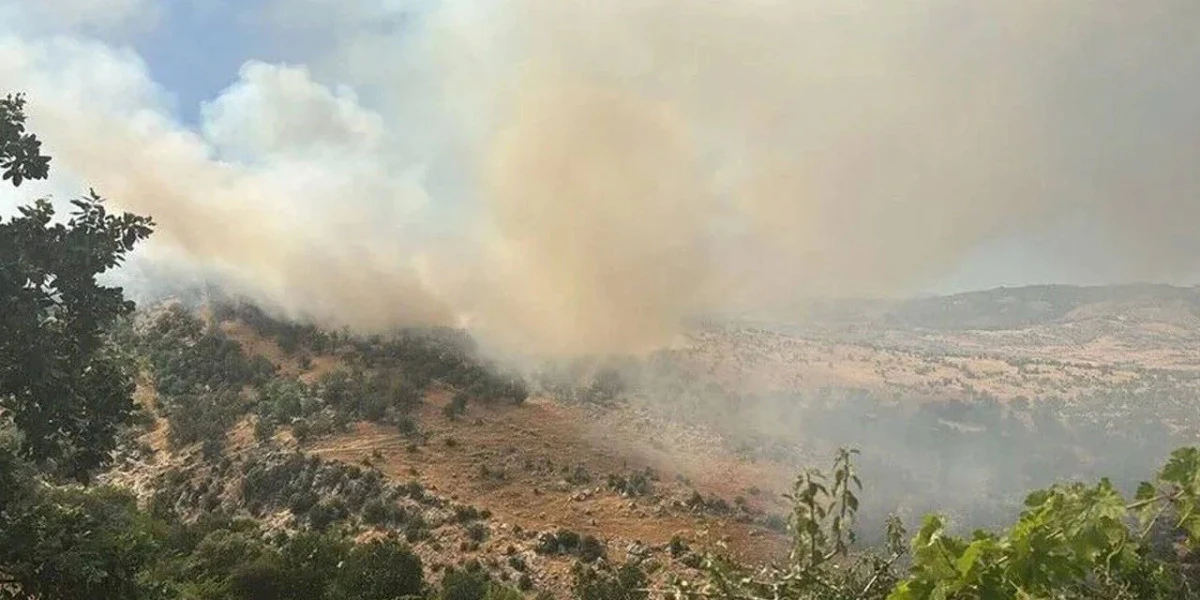 Silvan&rsquo;da &ouml;rt&uuml; yangını ormana sı&ccedil;radı