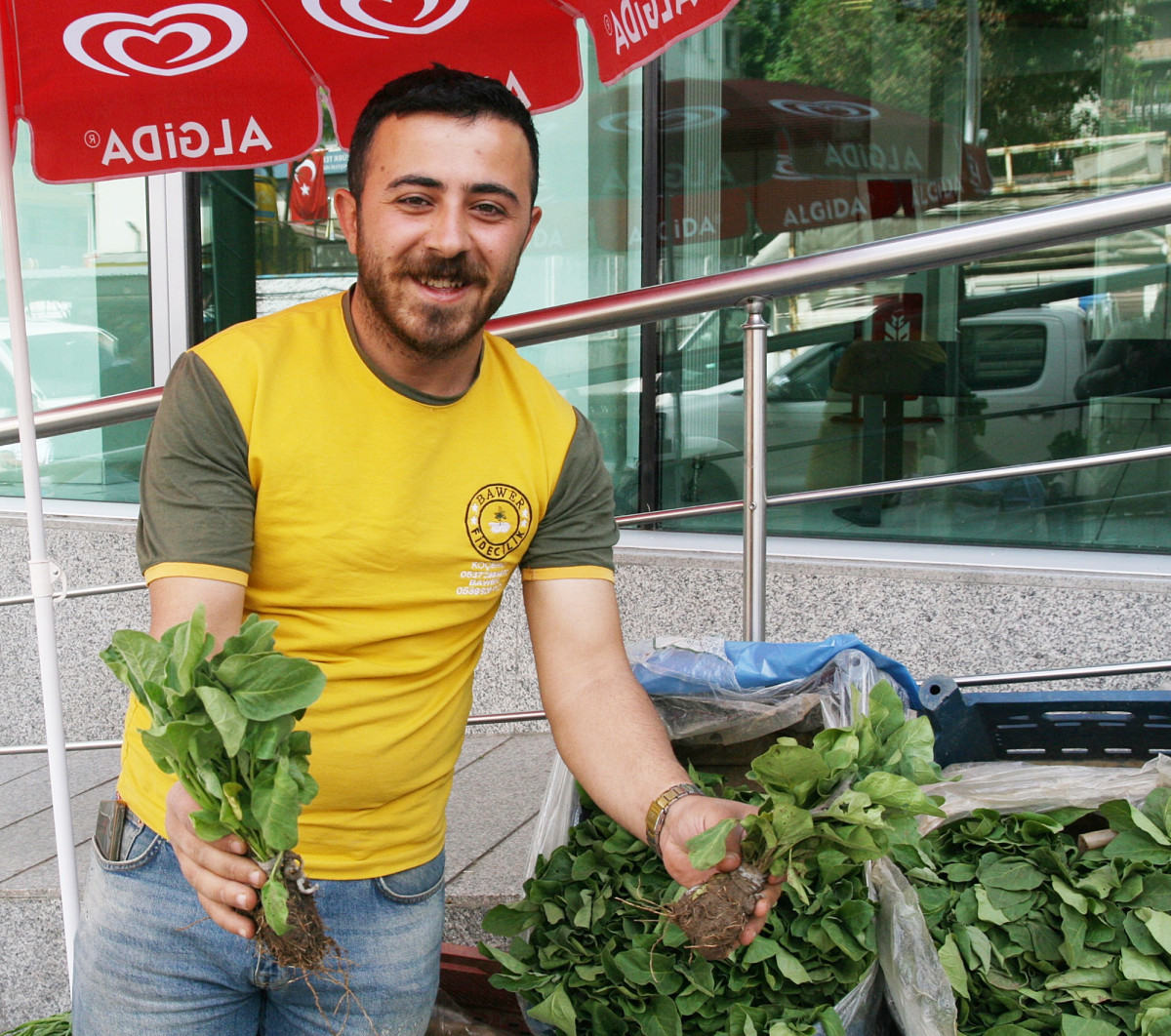 Silvan’da sebze fidesi satışı başladı