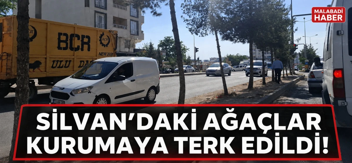 Silvan&rsquo;daki Ağa&ccedil;lar Kurumaya Terk Edildi!