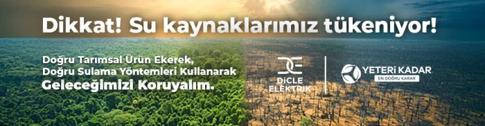 Dicle Elektrik
