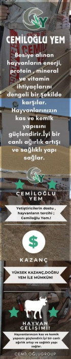Sitenin sağında bir giydirme reklam